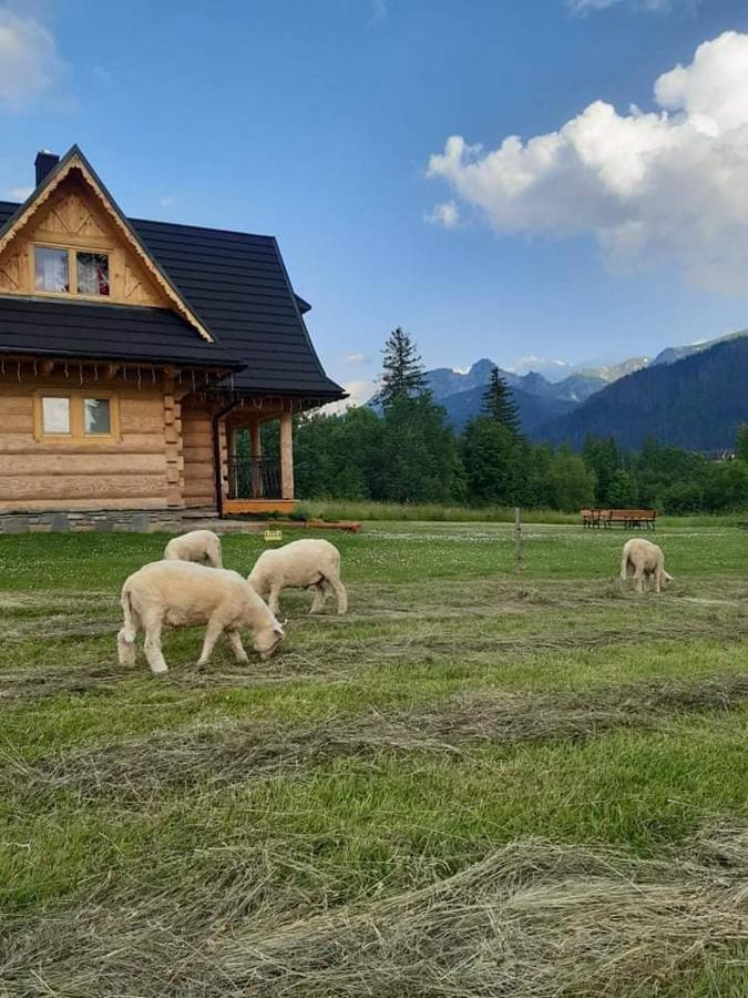 Domek W Raju Kościelisko Dış mekan fotoğraf